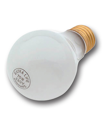 081353 General Service Bulb 60 Watts