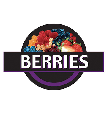 BERRIES Produce 3-D Photo Street Sign 20"L x 13.5"H