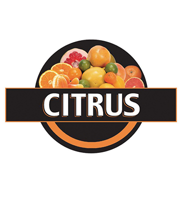 CITRUS Produce 3-D Photo Street Sign 20"L x 13.5"H