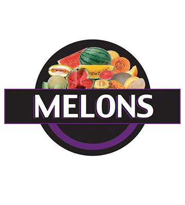 MELONS Produce 3-D Photo Street Sign 20"L x 13.5"H