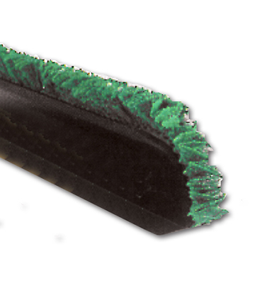 Black Angled Divider with Green Parsley 12"L x 3.5"H