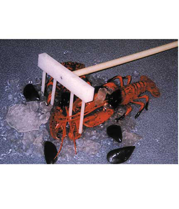 Lobster Rake 25"L