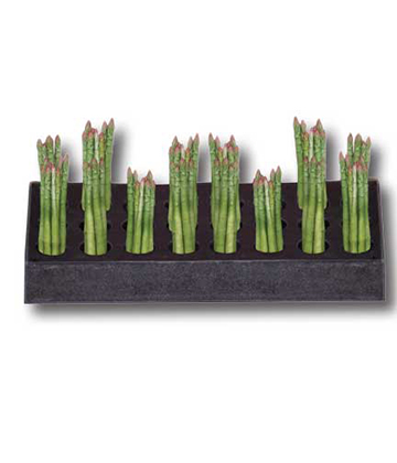 Produce Asparagus Tray with 24 Holes 24.25"L x 11"W x 4.5H