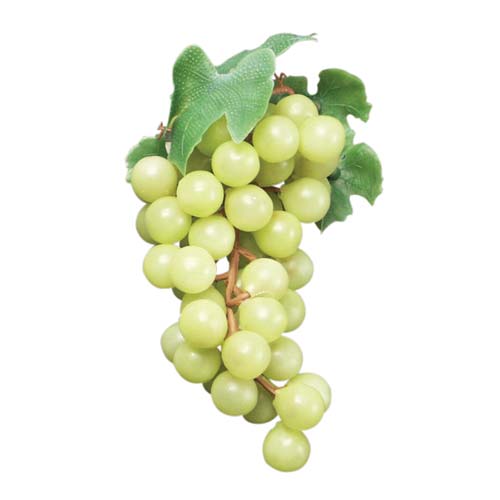 Green Grape Cluster Replica 8"