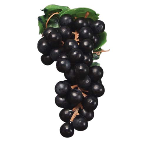 Black Grape Cluster Replica 8"