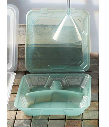 Recyclable To-Go Container 3 Compartments 9" Sq. x 2.75"