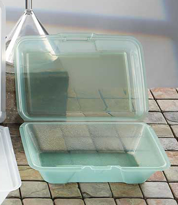 Recyclable To-Go Container Half-Size 9"L x 6.5"W x 2.5"D