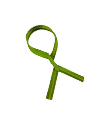 Plain Paper Green Twist Ties 4"L